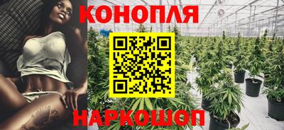 стаф Севастополь