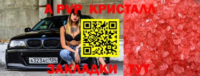 стаф Севастополь