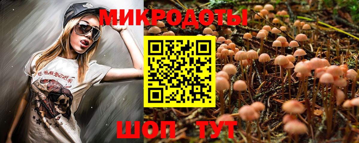 дарнет шоп  Псилоцибиновые грибы Psilocybe  Вход с VPN  Похвистнево 