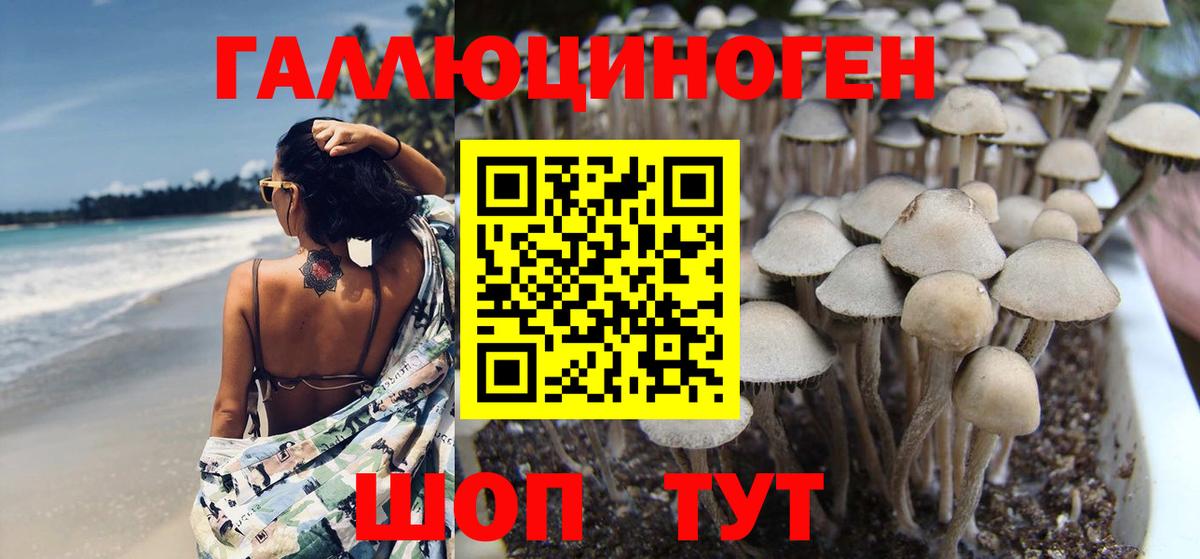 Псилоцибиновые грибы мицелий Похвистнево